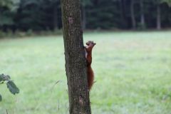 XIX_Swietokrzyski_Rajd_Pielgrzymkowy_Swiety_Krzyz_2018_IMG_0020_Fot_Lukasz_Zarzycki