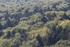 XXVII_Swietokrzyski_Rajd_Pielgrzymkowy_Swiety_Krzyz_2026_IMG_0075_Fot_Lukasz_Zarzycki